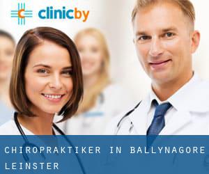 Chiropraktiker in Ballynagore (Leinster)