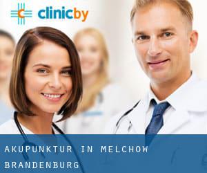 Akupunktur in Melchow (Brandenburg)