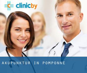 Akupunktur in Pomponne
