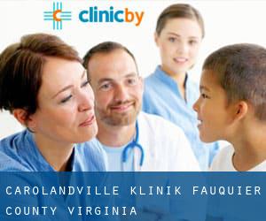 Carolandville klinik (Fauquier County, Virginia)