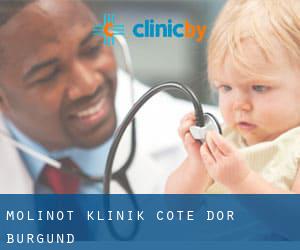 Molinot klinik (Cote d'Or, Burgund)