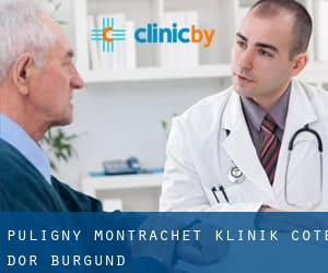 Puligny-Montrachet klinik (Cote d'Or, Burgund)