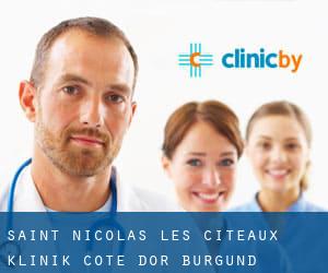 Saint-Nicolas-lès-Cîteaux klinik (Cote d'Or, Burgund)