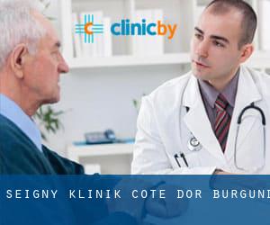 Seigny klinik (Cote d'Or, Burgund)