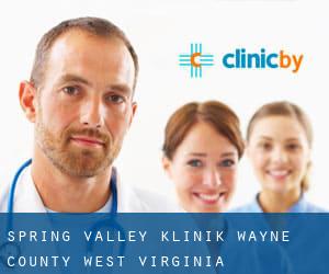 Spring Valley klinik (Wayne County, West Virginia)