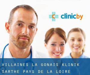 Villaines-la-Gonais klinik (Sarthe, Pays de la Loire)