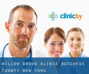 Willow Brook klinik (Dutchess County, New York)